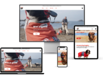 DogDry websiter design